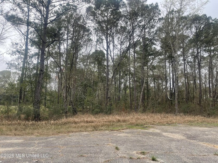 Great location. A short drive to Ingalls, Pascagoula, Ocean - photo 8