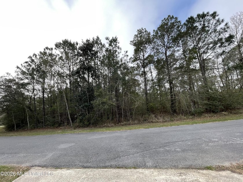 Great location. A short drive to Ingalls, Pascagoula, Ocean - photo 4