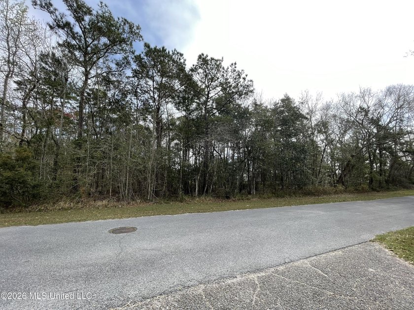 Great location. A short drive to Ingalls, Pascagoula, Ocean - photo 8