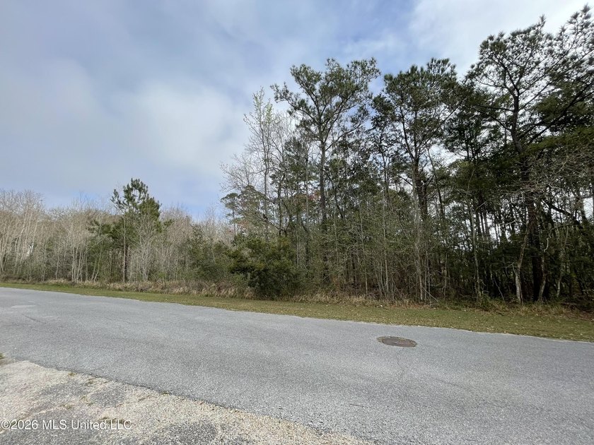 Great location. A short drive to Ingalls, Pascagoula, Ocean - photo 10