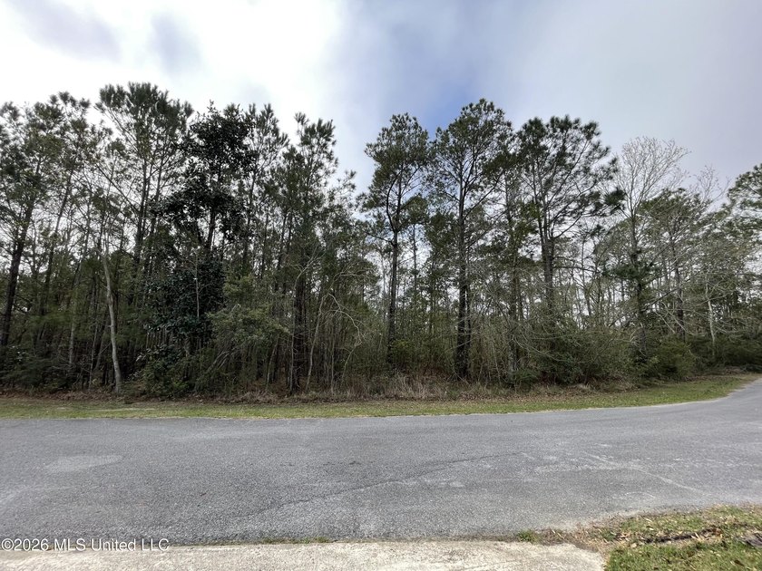 Great location. A short drive to Ingalls, Pascagoula, Ocean - photo 6