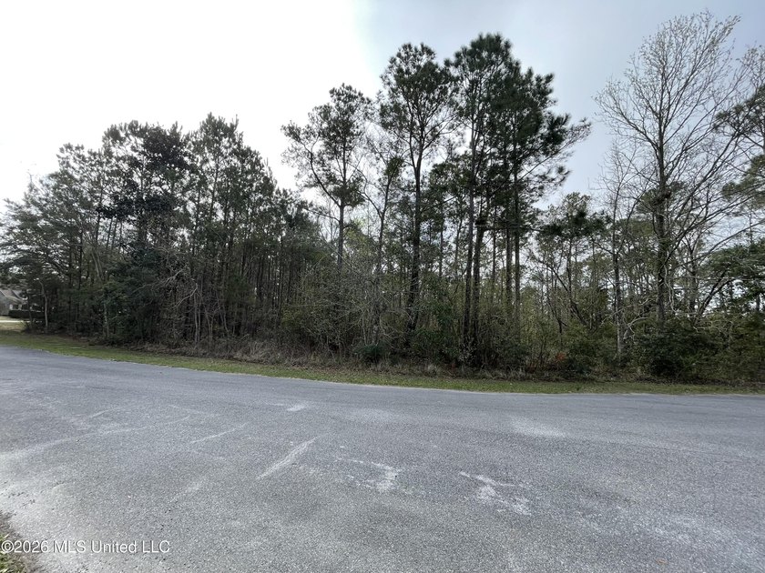 Great location. A short drive to Ingalls, Pascagoula, Ocean - photo 7