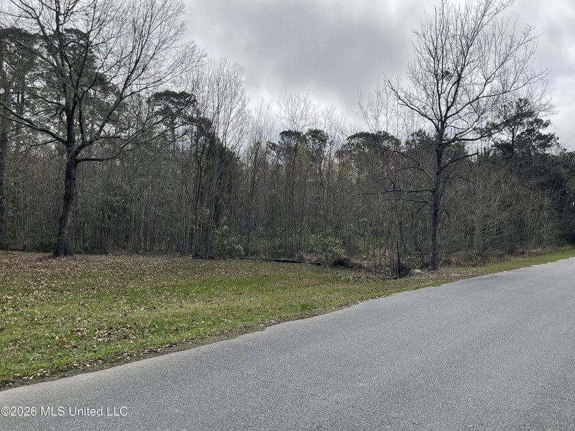 Great location. A short drive to Ingalls, Pascagoula, Ocean - photo 7