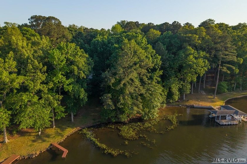 Moderately wooded waterfront lot with plenty of natural light - photo 3