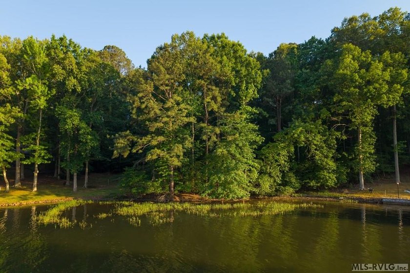 Moderately wooded waterfront lot with plenty of natural light - photo 4