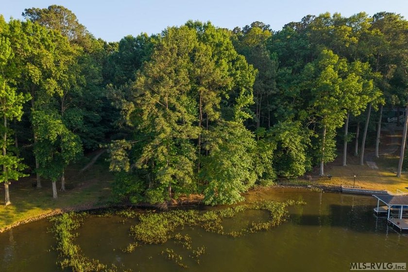 Moderately wooded waterfront lot with plenty of natural light - photo 7