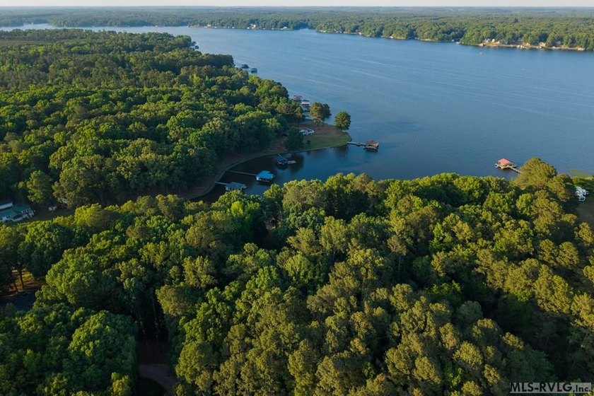 Moderately wooded waterfront lot with plenty of natural light - photo 10