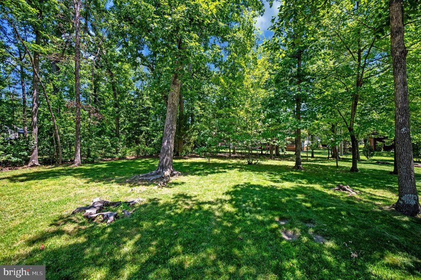 Welcome to 124 Republic Avenue in Lake of the Woods. Discover - photo 41