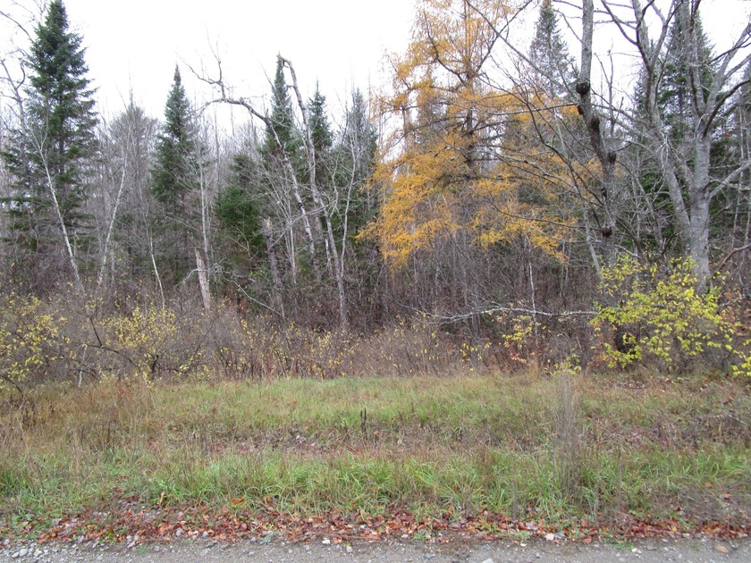 A great place for privacy with all the firewood you could ever - photo 3