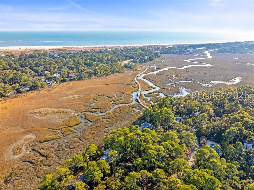 There is truly no place like Fripp Island! One of the last Marsh - photo 25