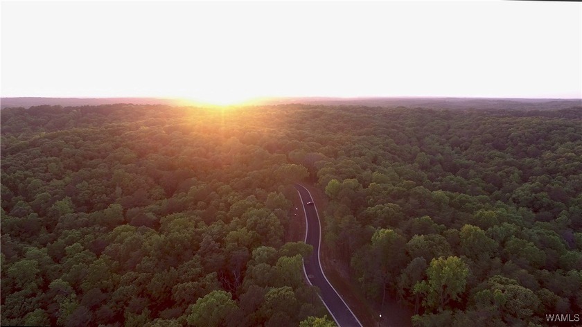Imagine building your dream home in a beautiful wooded setting - photo 13