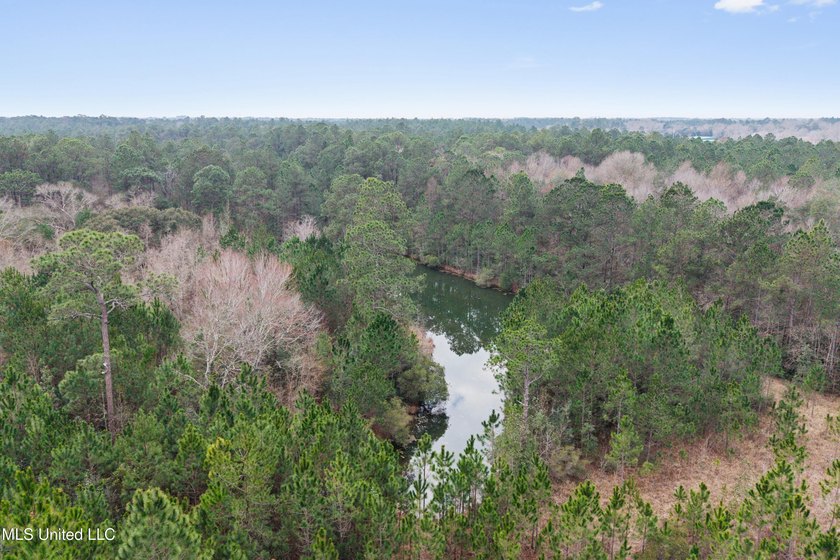 +/-14.7 acres with a pond on a private dead end road! Mostly - photo 4
