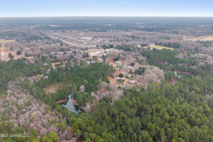 +/-14.7 acres with a pond on a private dead end road! Mostly - photo 6