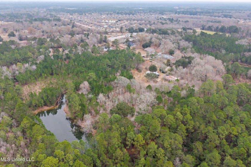 +/-14.7 acres with a pond on a private dead end road! Mostly - photo 7