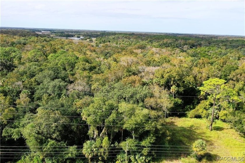 COMMERCIAL WATERFRONT, IMPACT FEES PAID! Commercial vacant land - photo 5