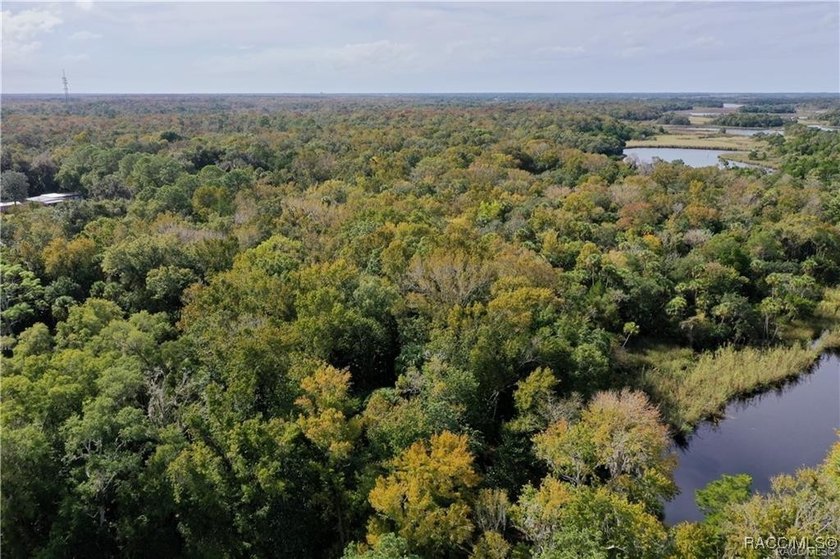 COMMERCIAL WATERFRONT, IMPACT FEES PAID! Commercial vacant land - photo 8