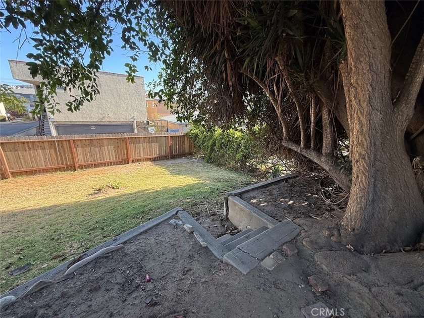 561 W 3rd St - photo 10