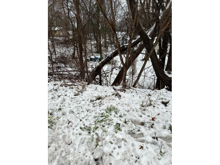 Residential Vacant Platted Lot - photo 2