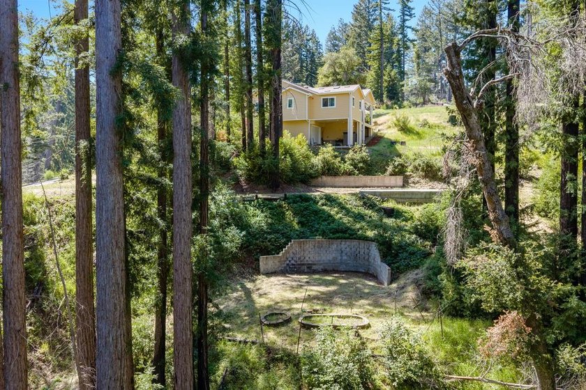 Set among towering trees and filtered sunlight, this Boulder - photo 7