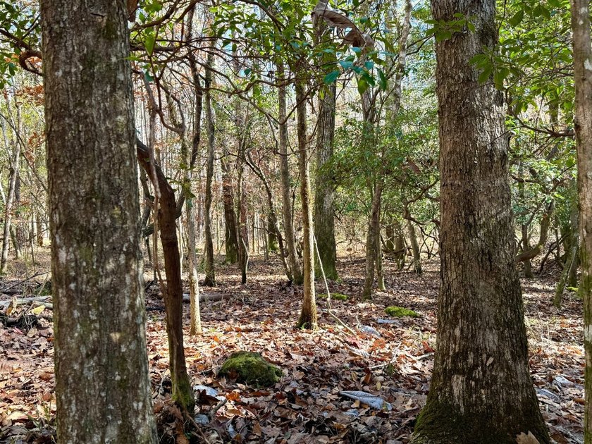 This rare find in Tunnel Springs has a lot to offer. Enjoy - photo 22