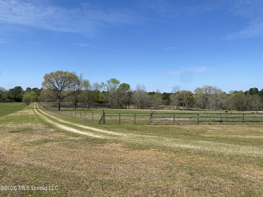 **Dream Horse &amp; Homesteader Paradise - 20 Acres in Lucedale, MS! - photo 3