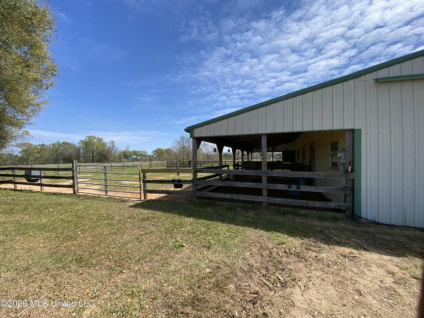 **Dream Horse &amp; Homesteader Paradise - 20 Acres in Lucedale, MS! - photo 5