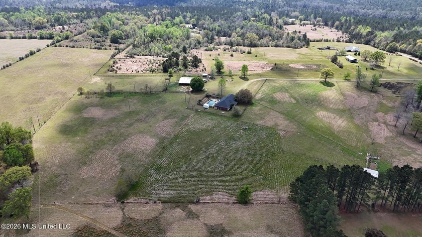 **Dream Horse &amp; Homesteader Paradise - 20 Acres in Lucedale, MS! - photo 7