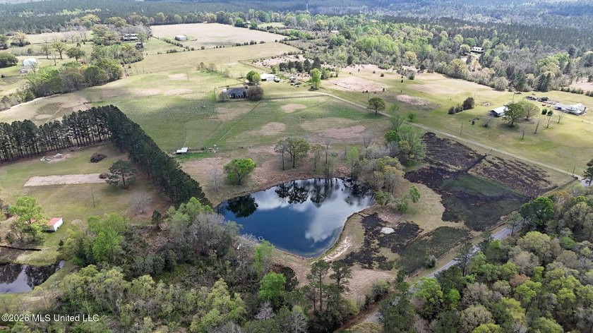 **Dream Horse &amp; Homesteader Paradise - 20 Acres in Lucedale, MS! - photo 10