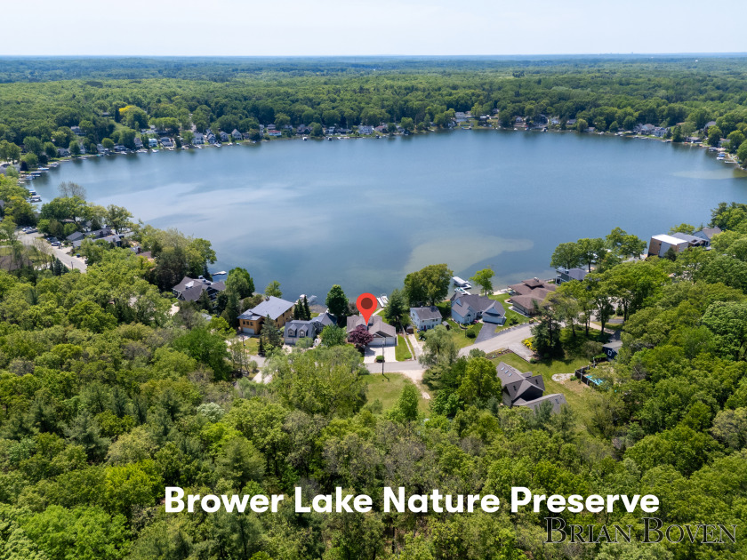 Pristine Frontage on Big Brower Lake - photo 22