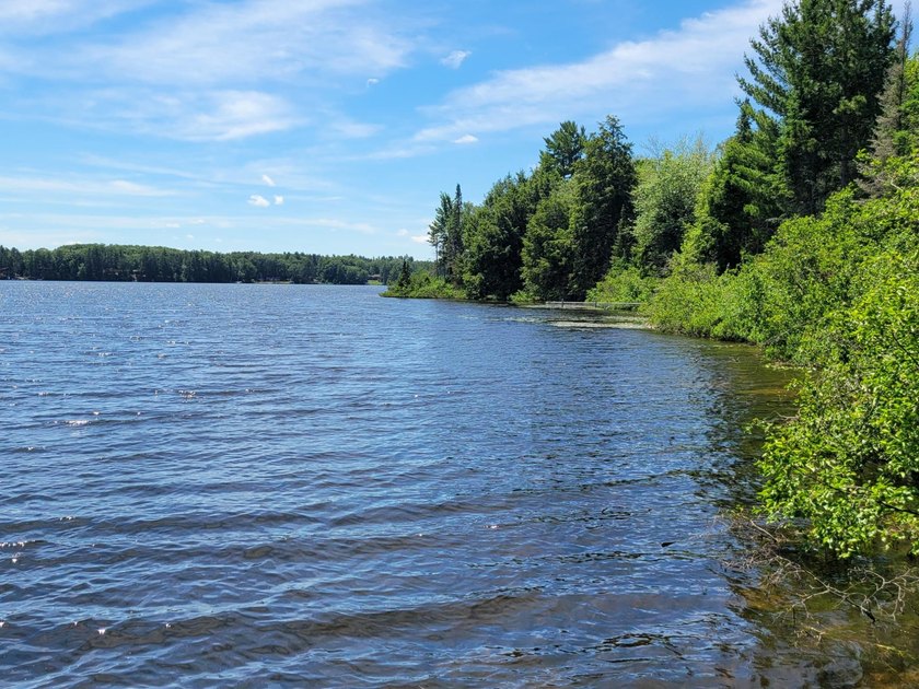 Pinestone Crossing sits on 26 shared wooded acres with over 700' - photo 16
