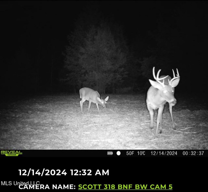 +/- 129 private acres nestled amongst nearly 180,000 acres of - photo 2