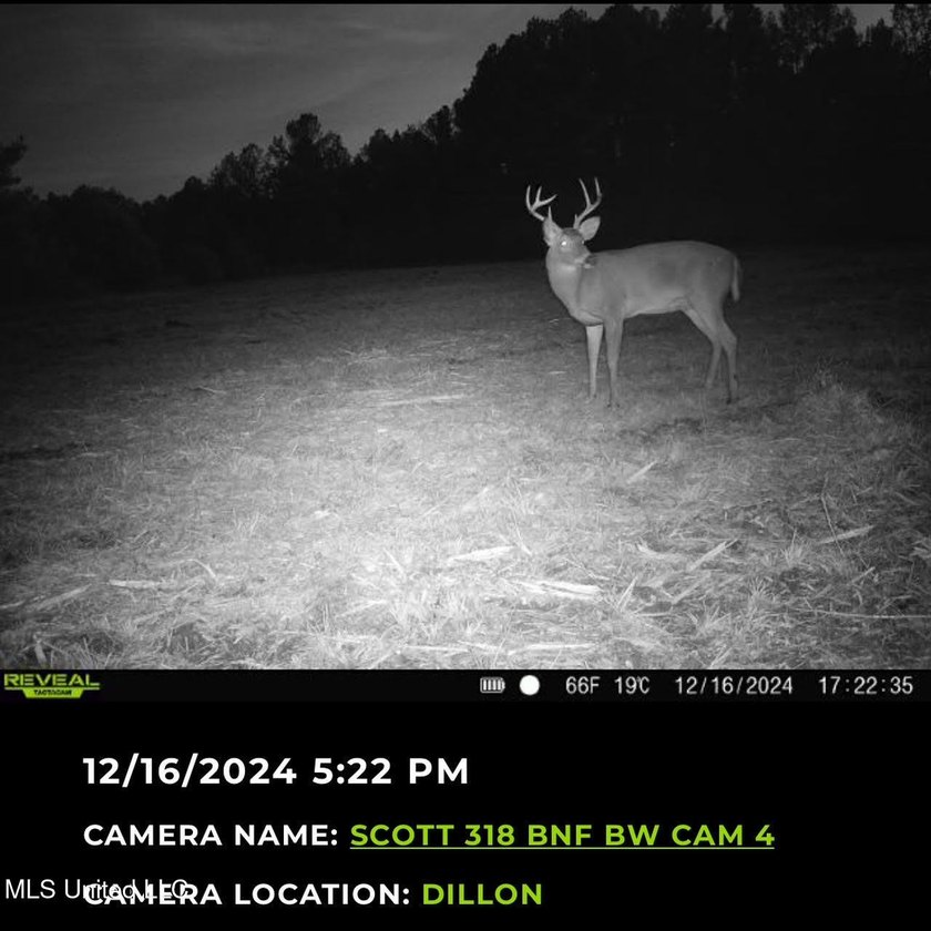 +/- 129 private acres nestled amongst nearly 180,000 acres of - photo 4