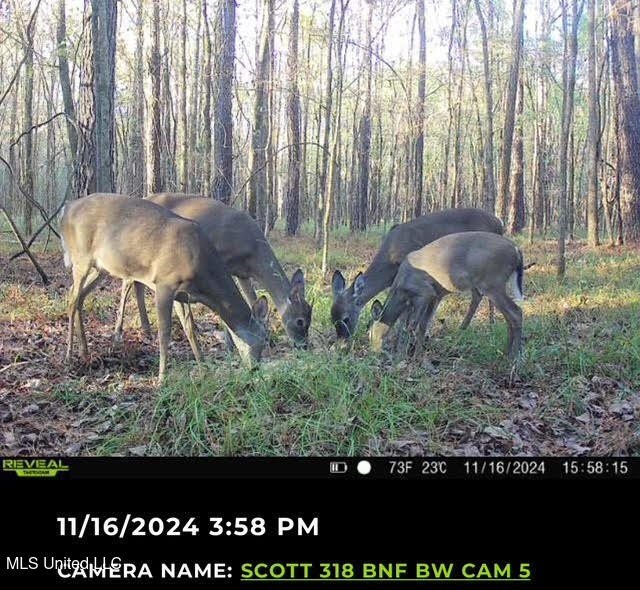 +/- 129 private acres nestled amongst nearly 180,000 acres of - photo 5