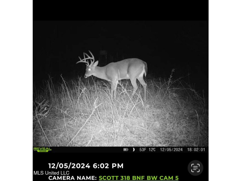 +/- 129 private acres nestled amongst nearly 180,000 acres of - photo 7