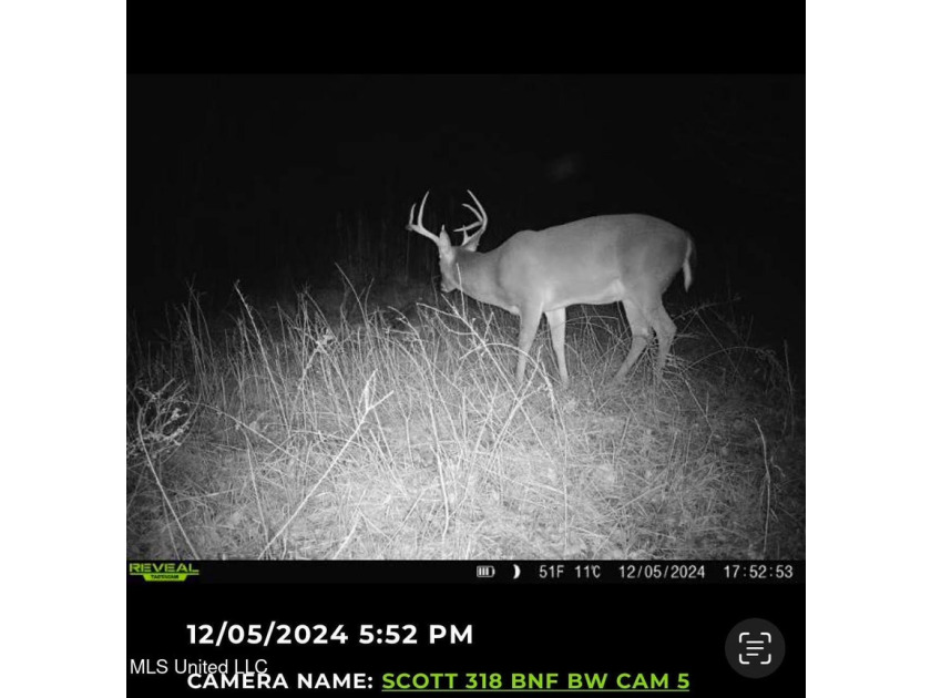 +/- 129 private acres nestled amongst nearly 180,000 acres of - photo 8