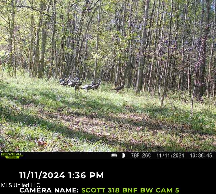 +/- 129 private acres nestled amongst nearly 180,000 acres of - photo 10