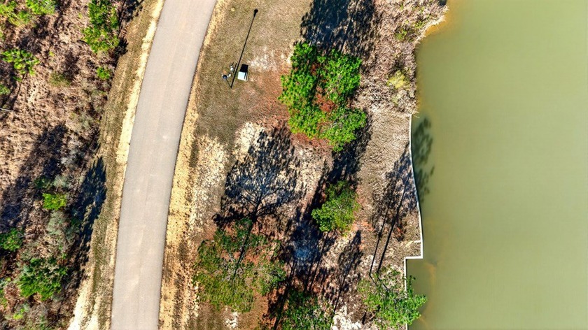 Beautiful waterfront lot in Big Bay Lake subdivsion, offering - photo 11