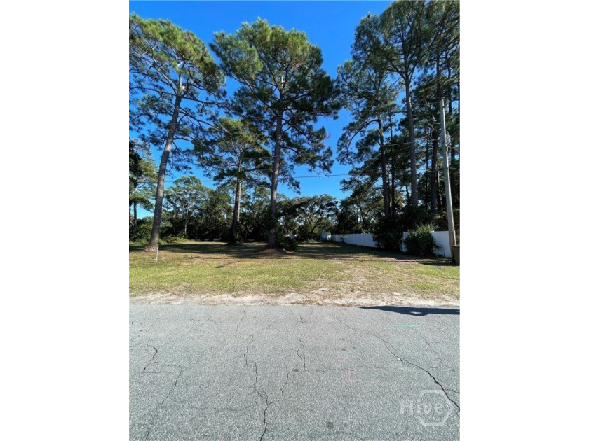 TWO Marsh Front vacant lots! Rare commercial-zoned lot on Tybee - photo 4