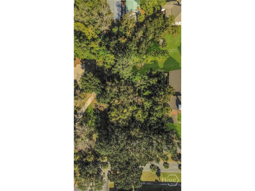 LARGE 0.52 Acre (22,652 SF) lot on Victory Drive. This lot - photo 3