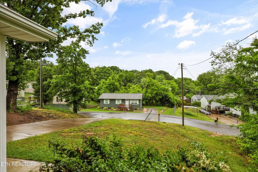 Charming One-Level Living Home - Minutes from UT &amp; Downtown - photo 4