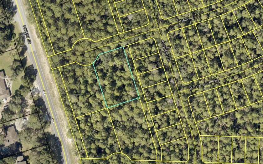 Cul-de-sac lot in desirable Deer Moss Creek(R)! This is one of - photo 6