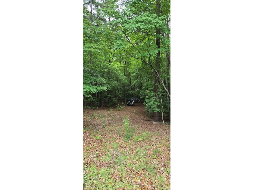 Great lot in Lake Gaston Estates ready for your home and - photo 3