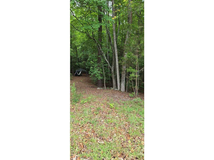 Great lot in Lake Gaston Estates ready for your home and - photo 4
