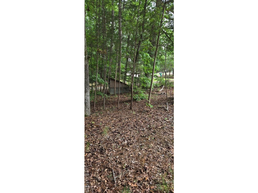 Great lot in Lake Gaston Estates ready for your home and - photo 6