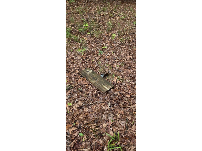 Great lot in Lake Gaston Estates ready for your home and - photo 7