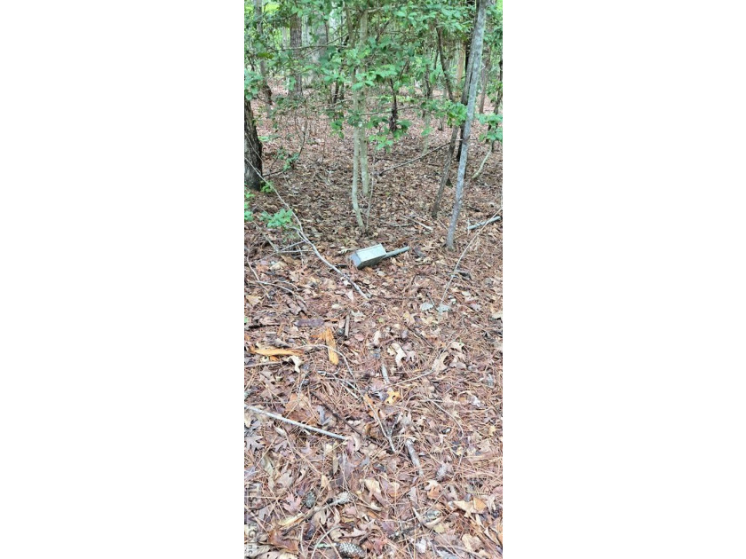 Great lot in Lake Gaston Estates ready for your home and - photo 9