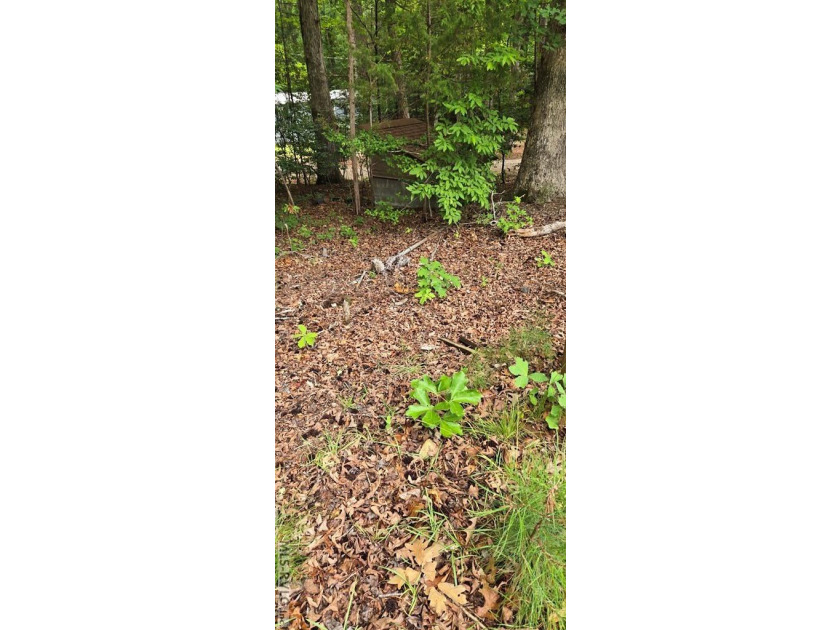 Great lot in Lake Gaston Estates ready for your home and - photo 10