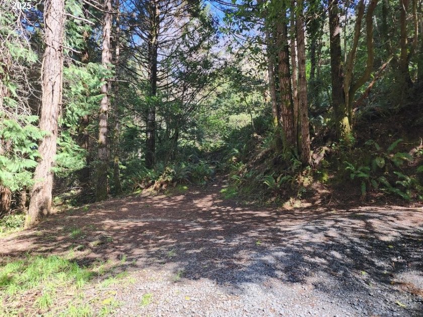 Secluded .5acre wooded lot on the Oregon Coast. Discover the - photo 2