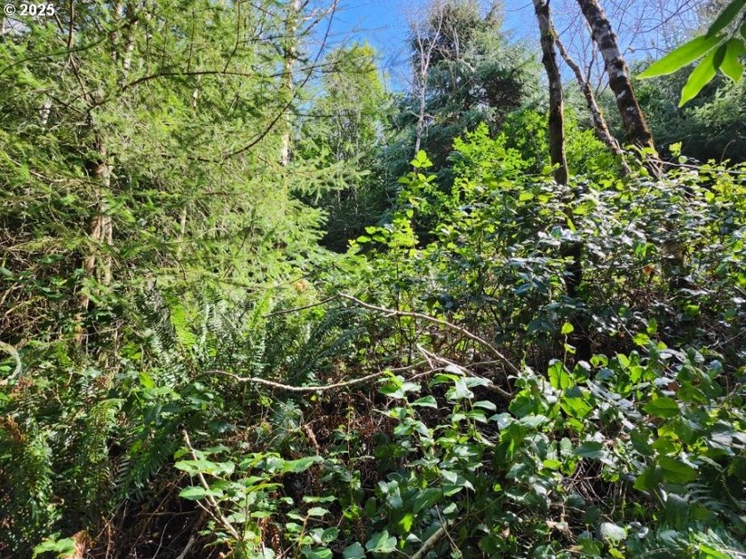 Secluded .5acre wooded lot on the Oregon Coast. Discover the - photo 7
