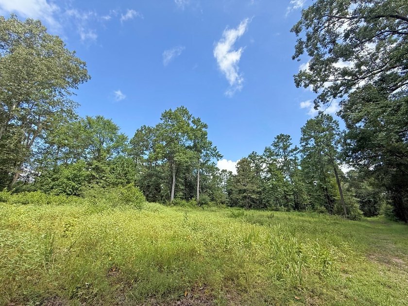 Beautiful 24.5 acre tract offering privacy and convenience just - photo 13